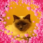 Heather Popham - Facebook