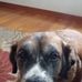 Heather Porterfield - Facebook