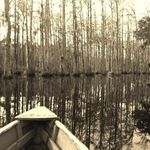 Heather Porterfield - @porterfield.heather - Instagram