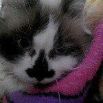 Heather Poteet Martin - @headley2you - Instagram