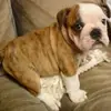 Heather Potter748 - @heather.potter - TikTok