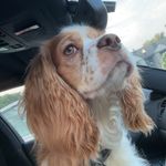 Heather Pounders - @_heather_pounders_ - Instagram