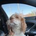 Heather Pounders - Facebook