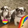heatherpowley398 - @heatherpowley398 - TikTok