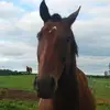 heatherprater885 - @heatherprater885 - TikTok