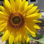 Heather Prather - @heatherprather73 - Instagram