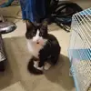 Heather Pratt - @heather.pratt2 - TikTok