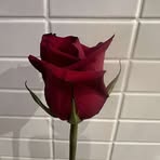 Heather Pegler - Facebook