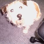 Heather Press - @heather36manton - Instagram