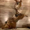 heatherpreston31 - @heatherpreston31 - TikTok