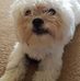 Heather Prichard - Facebook
