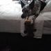 Heather Priddy - Facebook