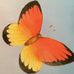 Heather Priestley - Facebook