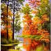 Heather Prim - Facebook