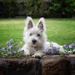 #Heather Prince - @heatherprince156 - Instagram