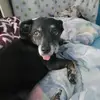 Heather Pringle - @heather.pringle - TikTok