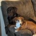 Heather Pritt - Facebook