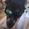 heatherpritt - @moonbabygenx - TikTok