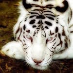 Heather Propst - @hpropst - Instagram