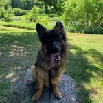 Heather Diane Pullen - @hpullen815 - Instagram