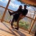 Heather-Anne Pulver - Facebook