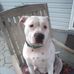 Heather Quick - Facebook