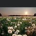 Heather Ramey - Facebook