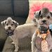 Heather Ramey - Facebook