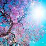 Heather Rector - @heatherrector8528 - Instagram