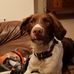 Heather Reitz - Facebook