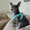 Heather Rhoads - @heather.rhoads43 - TikTok