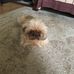 Heather Rickards - Facebook