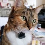 Heather Ricketts - @heather.ricketts.37 - Instagram