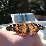 Heather Ringley - @heather.ringley - Instagram