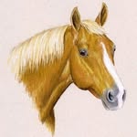 Heather Rohde - @rohde.fine.art - Instagram