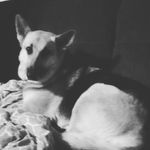 Heather Rohr Rodriguez - @heathertxstar - Instagram