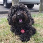 Heather Rolfe - @rolfe.heather - Instagram
