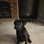 Heather Hagood Ruff - @heatherhagood_21 - Instagram