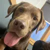 Heather_Ruff - @kularuff - TikTok