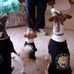 Heather Rule - Facebook