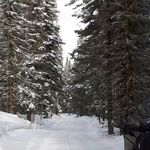 Heather Stewart Runge - @heatherstewartrunge - Instagram