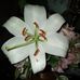 Heather Rushton - Facebook