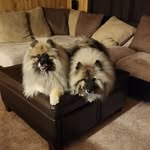 Heather Sachse - @sachseheather - Instagram