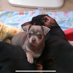 Heather Day-Salt - Facebook