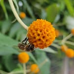 Heather Salt - @thren.salt - Instagram