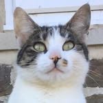 Heather Salt - @heab88 - Instagram