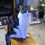 Heather Salt - Facebook