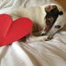 Heather Salter - Facebook