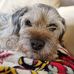 Heather Salter - Facebook