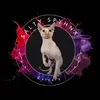 Heather Salter - @saltyspyhnx - TikTok